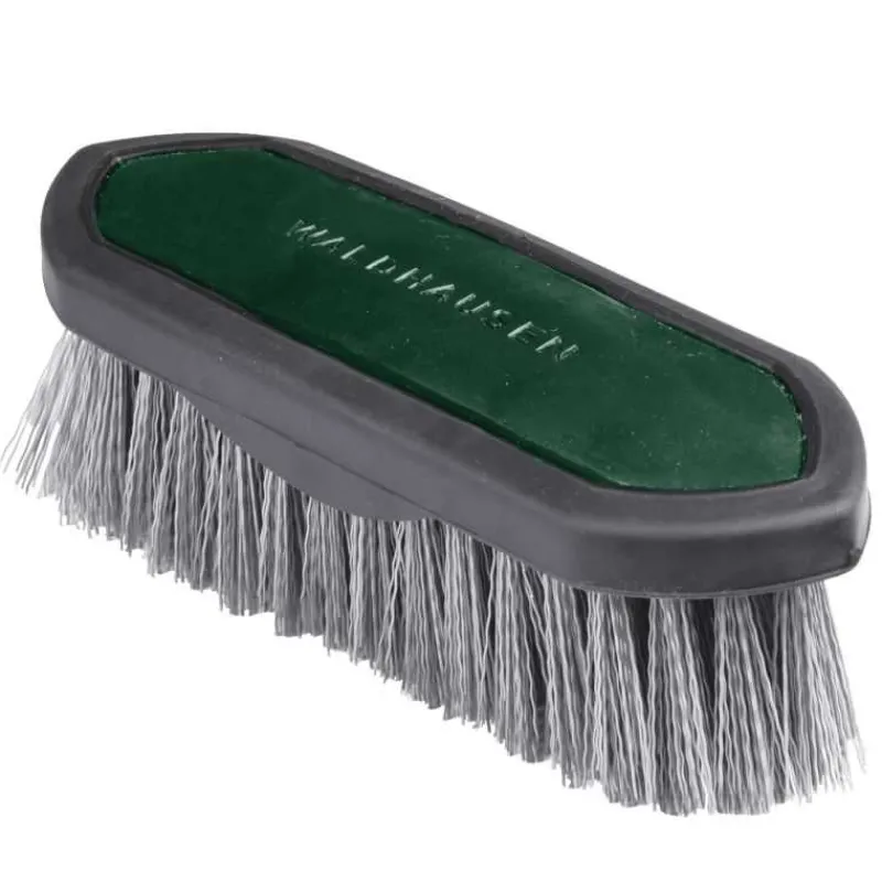 WALDHAUSEN Brosse dur synthetic> Brosses