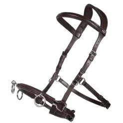 QHP Caveçon cuir multifonctionnel en cuir><noscript><img data-lazyloaded=