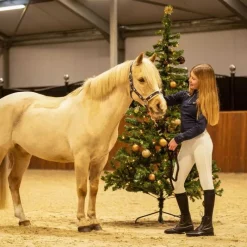 QHP Chaussettes d'équitation Noël><noscript><img data-lazyloaded=