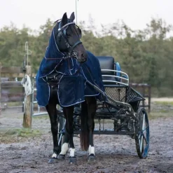 QHP Chemise anti-mouches avec cou pour cheval attelé><noscript><img data-lazyloaded=