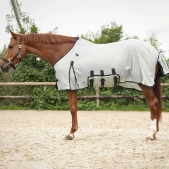 QHP Chemise anti-mouches avec cou et masque -><noscript><img data-lazyloaded=