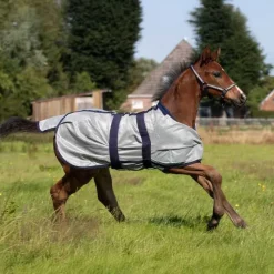 QHP Chemise anti-mouches poulain><noscript><img data-lazyloaded=