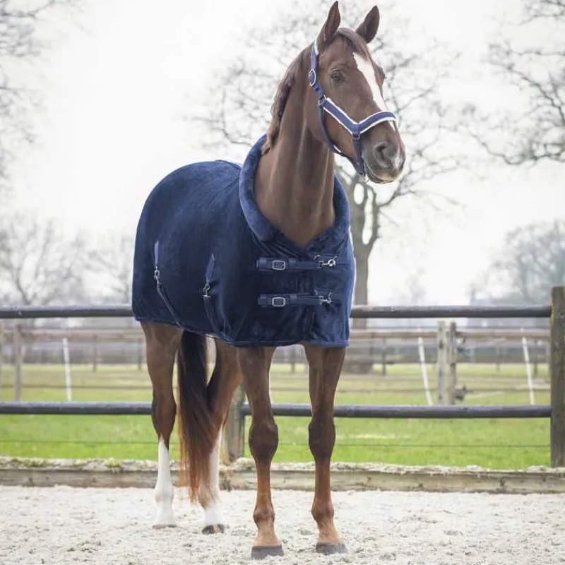 QHP Chemise de présentation Sensisoft> Chemise D'Écurie