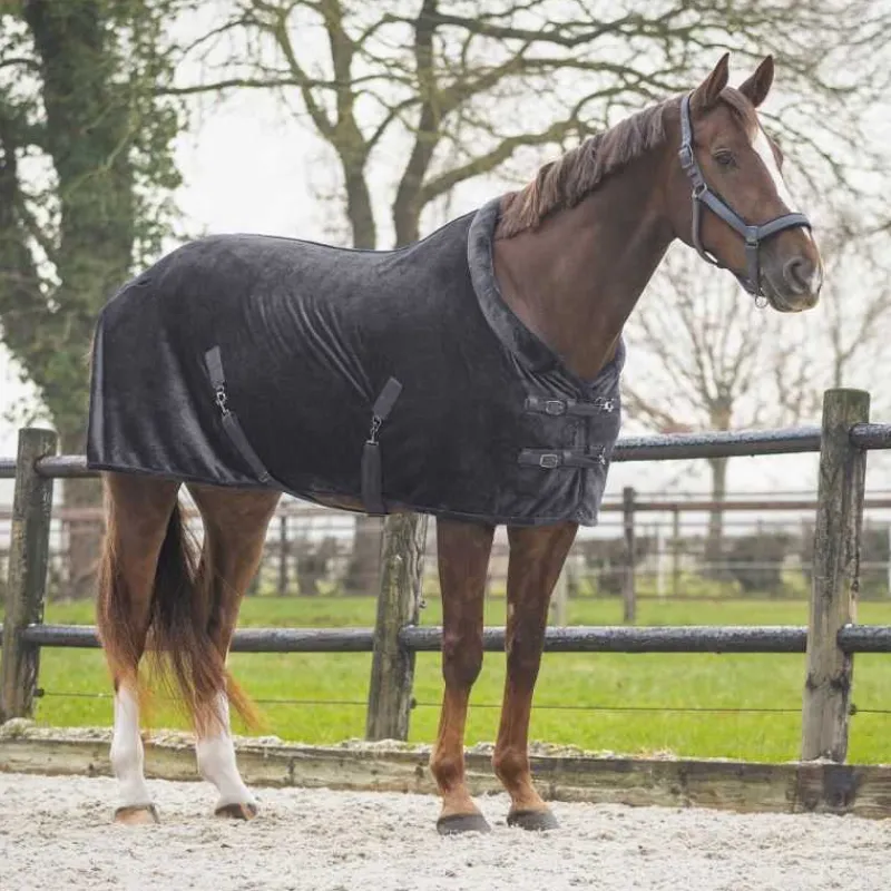 QHP Chemise de présentation Sensisoft> Chemise D'Écurie