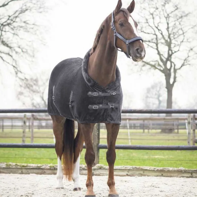 QHP Chemise de présentation Sensisoft> Chemise D'Écurie