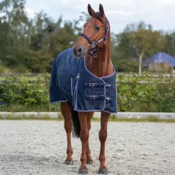 QHP Chemise impermeable 50g Luxe> Couverture Poney Et Poulain|Couverture D'Extérieur