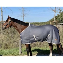 T de T Chemise micro jersey> Chemise Polaire Et Séchante|Chemise D'Écurie