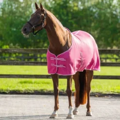 Q-ESSENTIALS Chemise Polaire Color> Chemise Polaire Et Séchante