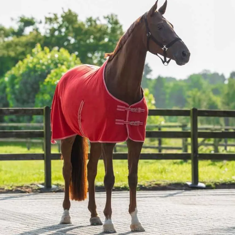 Q-ESSENTIALS Chemise Polaire Color> Chemise Polaire Et Séchante