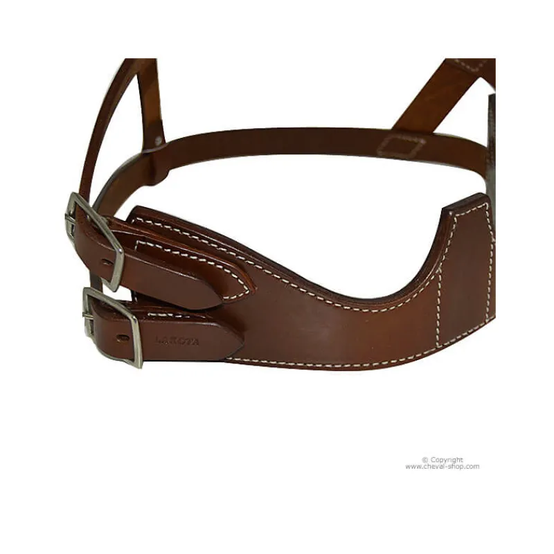 Collier anti tic Américain> Paniers Muselières|Paniers Muselières