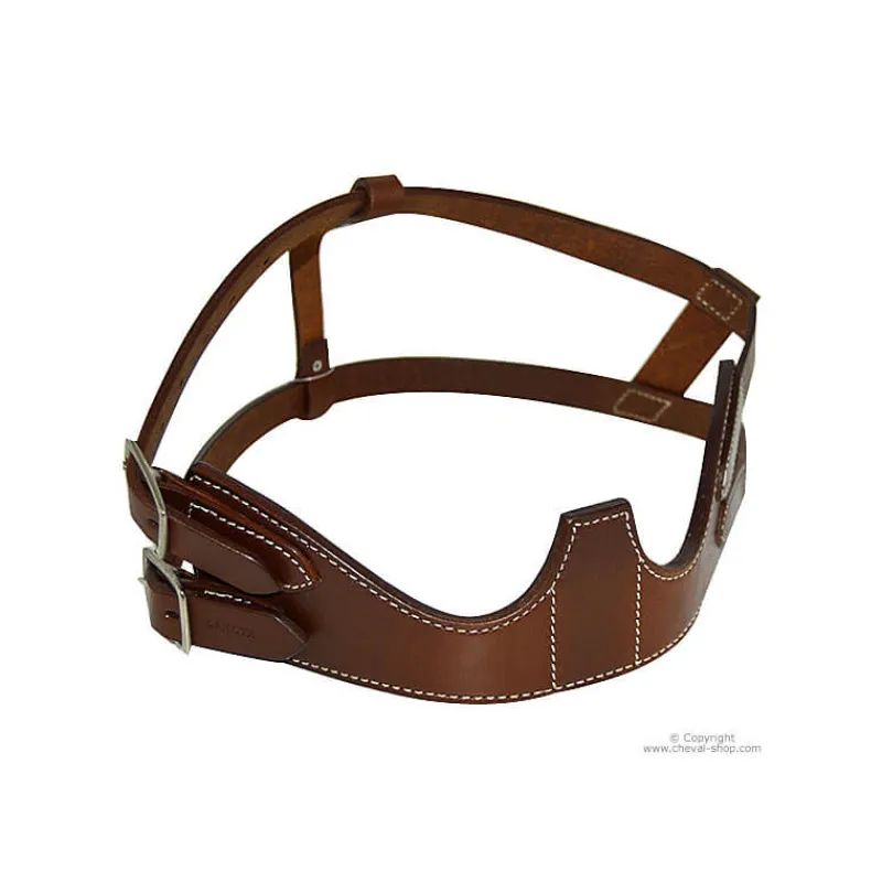 Collier anti tic Américain> Paniers Muselières|Paniers Muselières