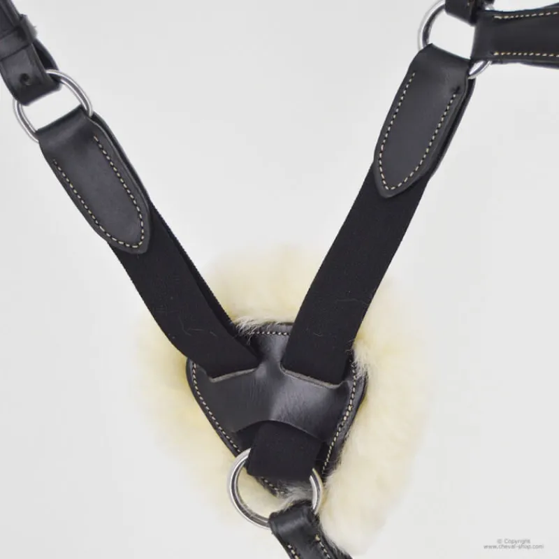 STATIONATA Collier de chasse 5 points mouton> Collier De Chasse