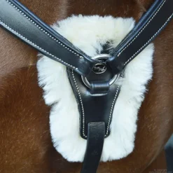 STATIONATA Collier de chasse 5 points mouton><noscript><img data-lazyloaded=