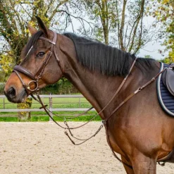 STATIONATA Collier de chasse 3 points> Martingale|Collier De Chasse