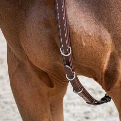 STATIONATA Collier de chasse 3 points><noscript><img data-lazyloaded=