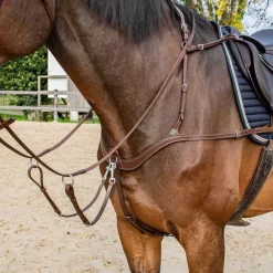 STATIONATA Collier de chasse 5 points> Martingale|Collier De Chasse