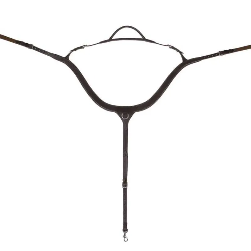 QHP Collier de chasse avec poignée> Collier De Chasse
