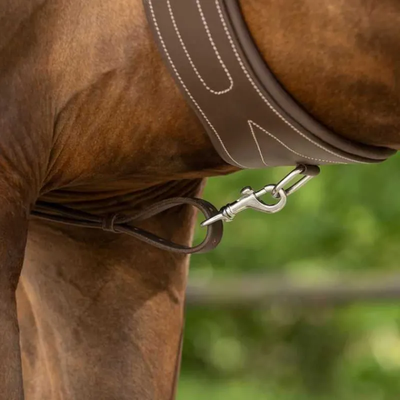 QHP Collier de chasse avec poignée> Collier De Chasse
