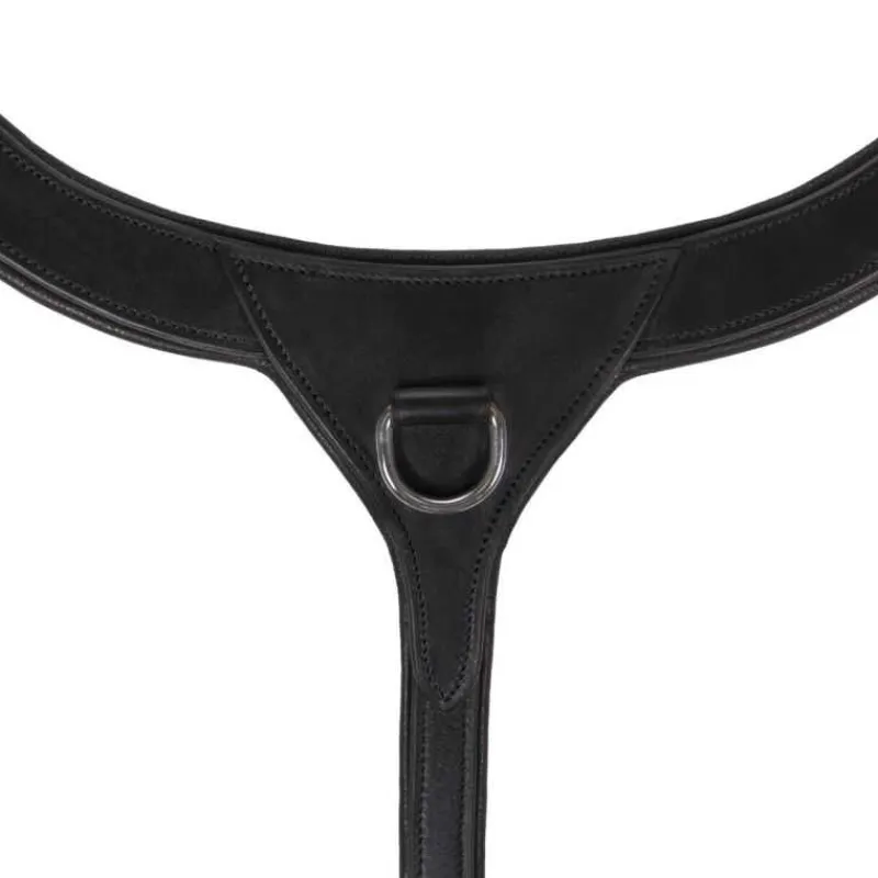 QHP Collier de chasse avec poignée> Collier De Chasse