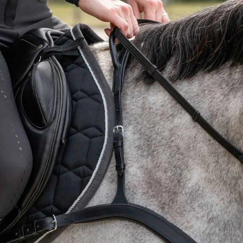QHP Collier de chasse avec poignée> Collier De Chasse