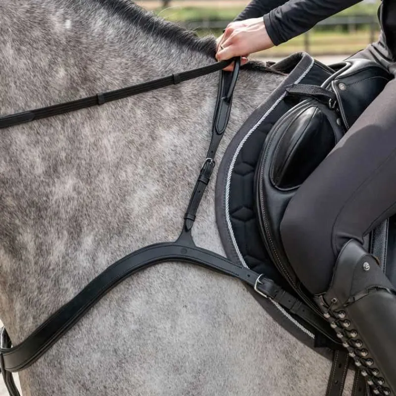 QHP Collier de chasse avec poignée> Collier De Chasse