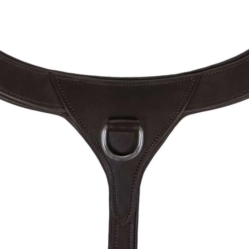 QHP Collier de chasse avec poignée> Collier De Chasse