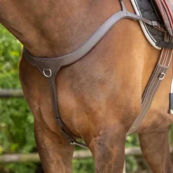 QHP Collier de chasse avec poignée><noscript><img data-lazyloaded=