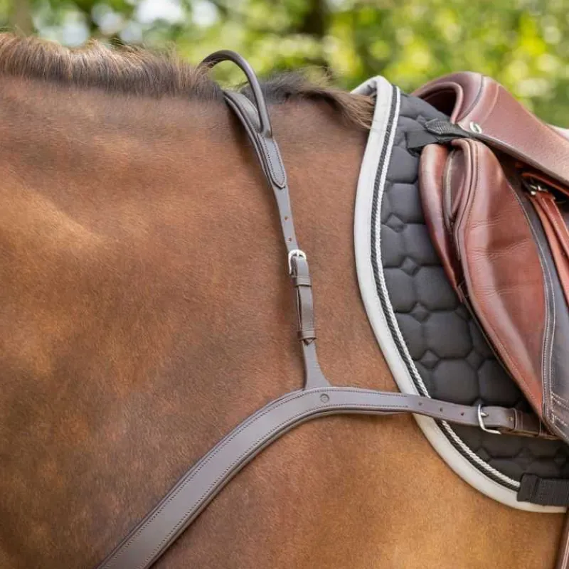 QHP Collier de chasse avec poignée> Collier De Chasse