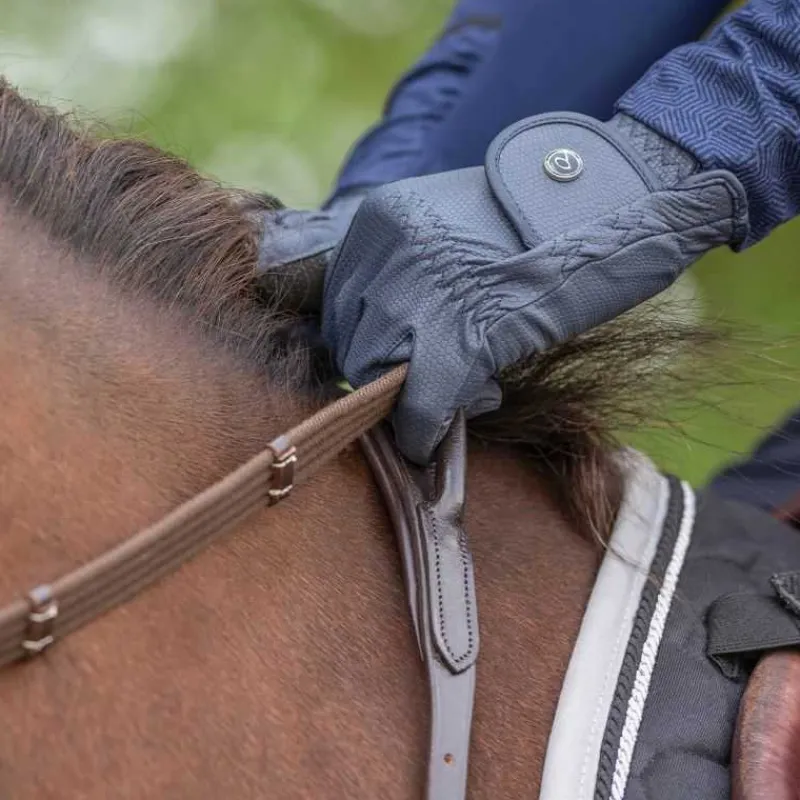 QHP Collier de chasse avec poignée> Collier De Chasse