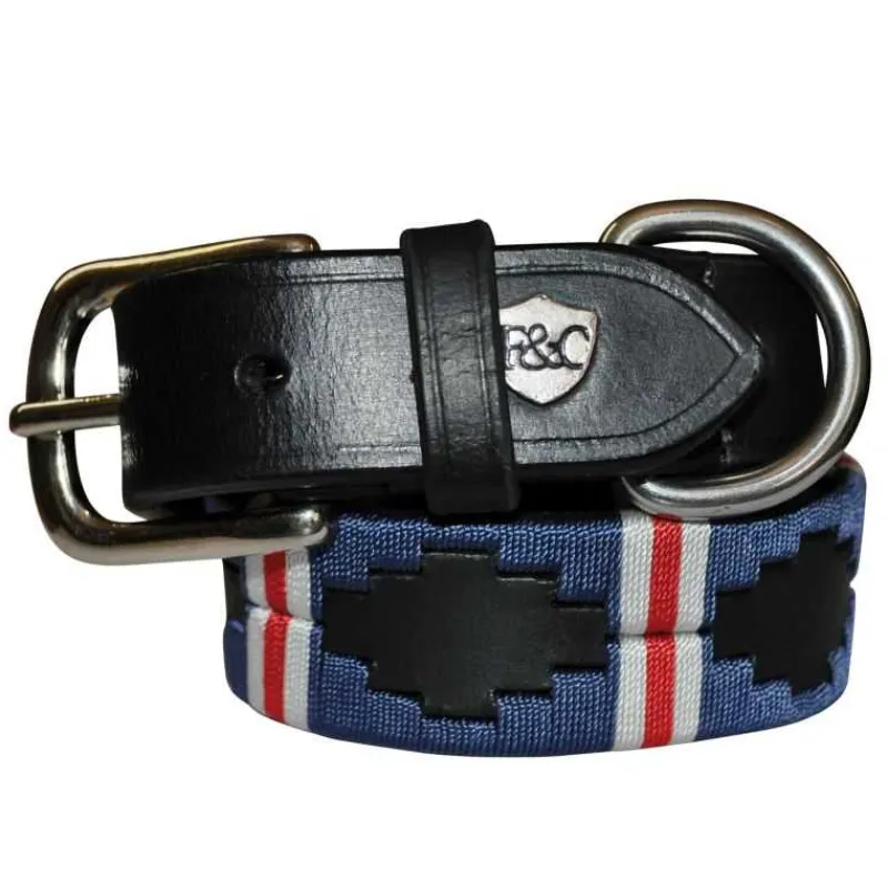 FLAGS&CUP Collier pour chien Chukka> Le Chien