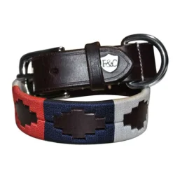 FLAGS&CUP Collier pour chien Chukka><noscript><img data-lazyloaded=