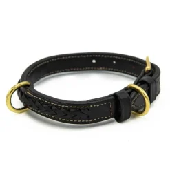 CHETAK Collier tressé pour grand chien> Le Chien