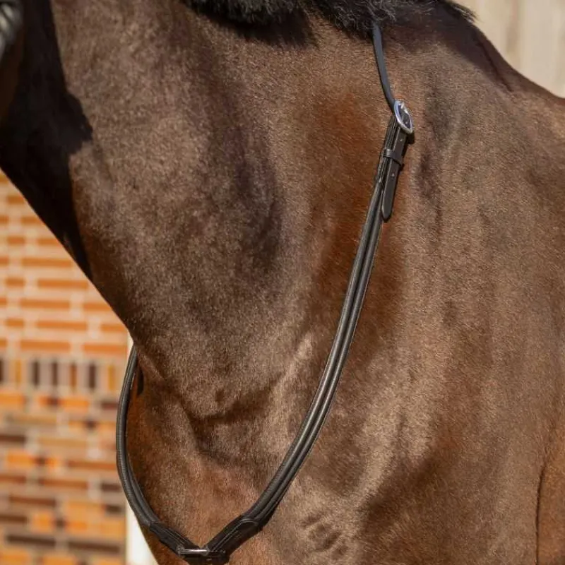 QHP Cordelette en cuir Liberta> Cordelette|Cordelette
