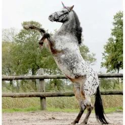 QHP Corne de Licorne><noscript><img data-lazyloaded=