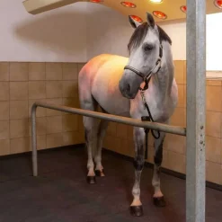KRAIBURG BELMONDO Couloir d'écurie et douche Belmondo Walkpro><noscript><img width=