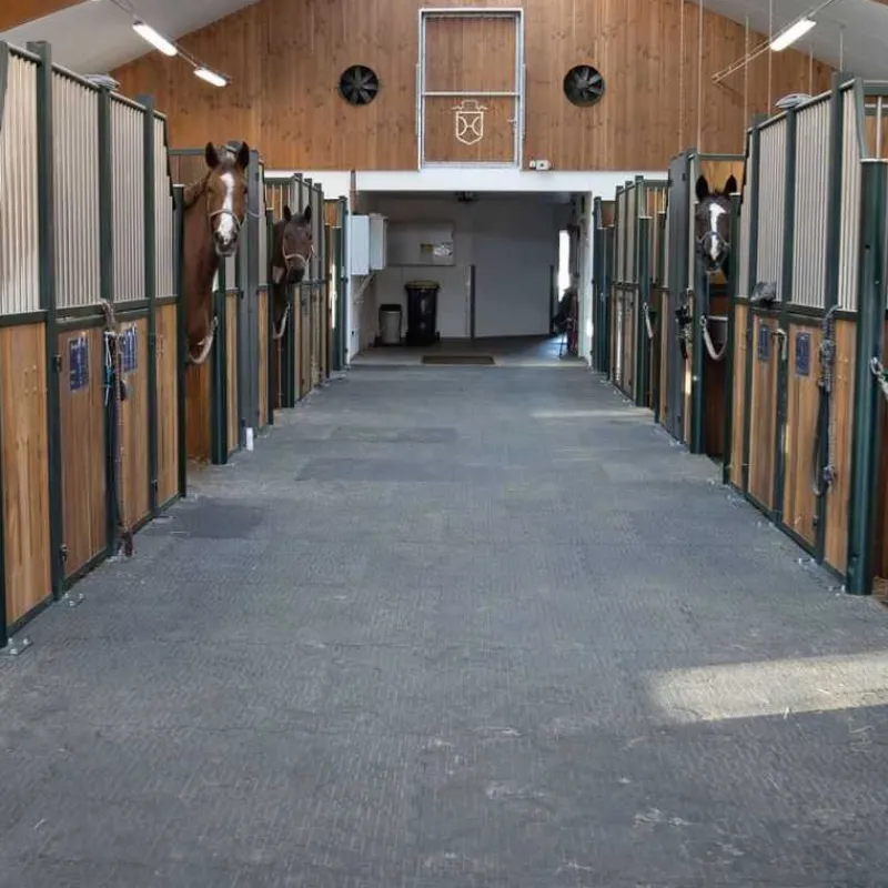 KRAIBURG BELMONDO Couloir d'écurie et douche Belmondo Walkpro> Tapis De Sol Caoutchouc