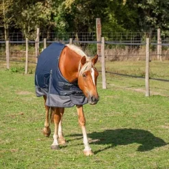 HORSE & GO Couverture d'exterieur imperméable 150G Marine> Couverture D'Extérieur|Chemise Imperméable