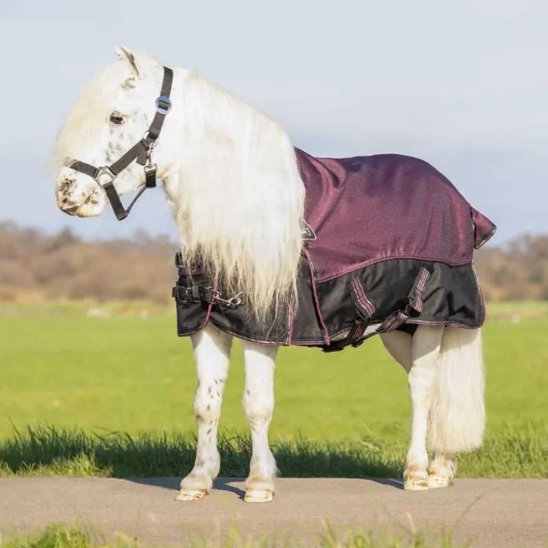 QHP Couverture d'extérieur Falabella Collection 50g> Couverture Poney Et Poulain|Couverture D'Extérieur