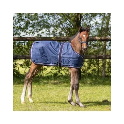 QHP Couverture extérieure foal 100gr> Couverture D'Extérieur|Couverture Poney Et Poulain