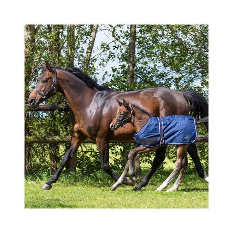 QHP Couverture extérieure foal 100gr> Couverture D'Extérieur|Couverture Poney Et Poulain