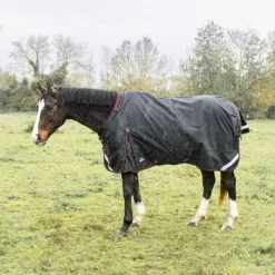 HORSE & GO Couverture imperméable 0g 1200D HORSE&GO> Couverture D'Extérieur|Chemise Imperméable