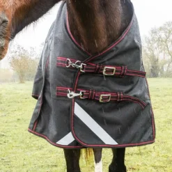 HORSE & GO Couverture imperméable 0g 1200D HORSE&GO><noscript><img data-lazyloaded=