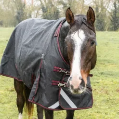 HORSE & GO Couverture imperméable 100g 1200D HORSE&GO> Couverture D'Extérieur