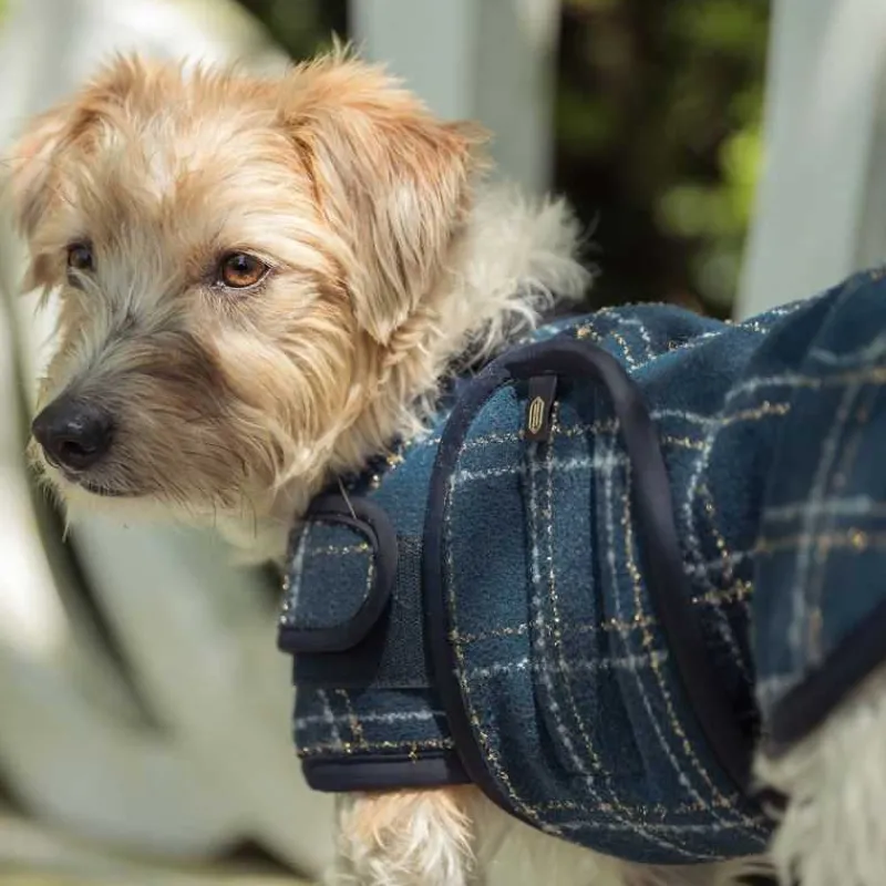 ESKADRON Couverture pour chien bouclée Heritage> Le Chien