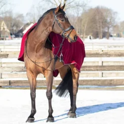 QHP Couvre-reins polaire Ornament><noscript><img data-lazyloaded=