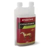 PASKACHEVAL Cycle O'Calm 1L> Comportement