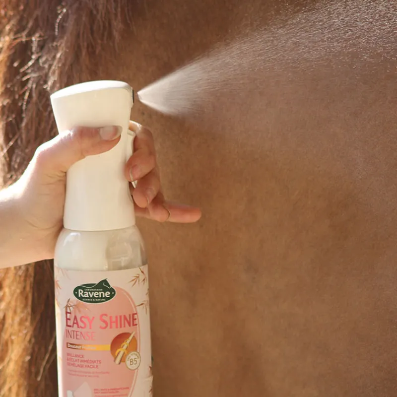 RAVENE Easy Shine Intense Démêlant lustrant> Démêlant