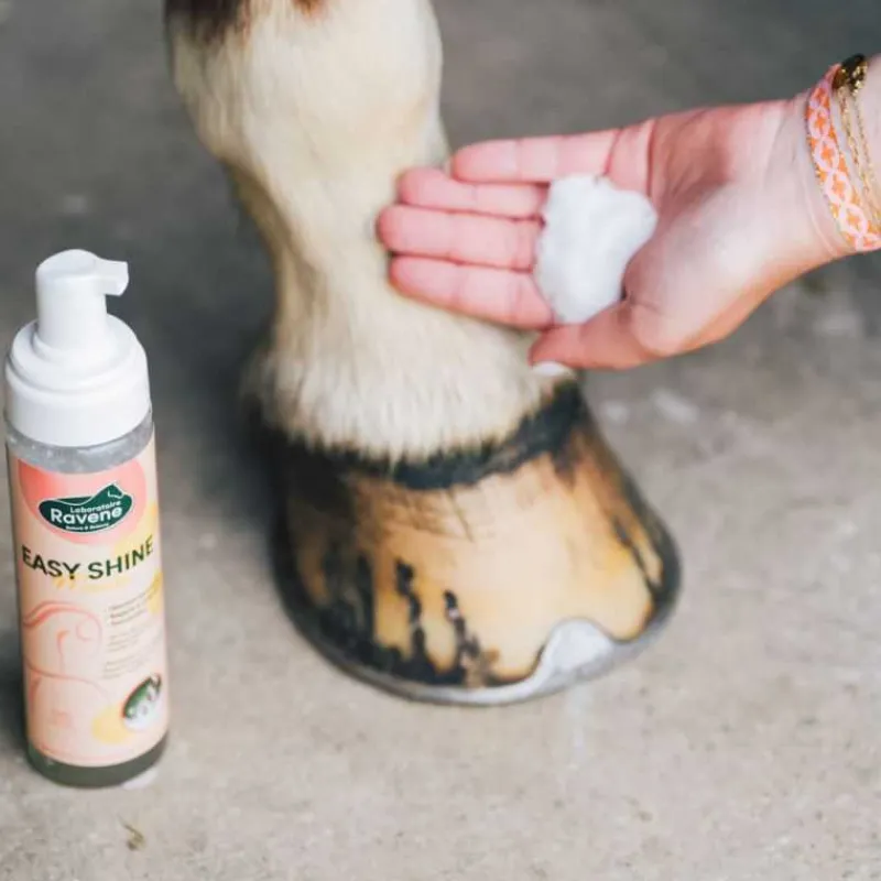 RAVENE Easy Shine Mouss - Détachant> Shampoing|Détachant