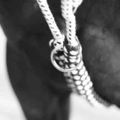 CANTER Enrênement Soft Rope> Travail À La Longe - Enrênements - Surfaix|Travail À La Longe - Enrênements - Surfaix