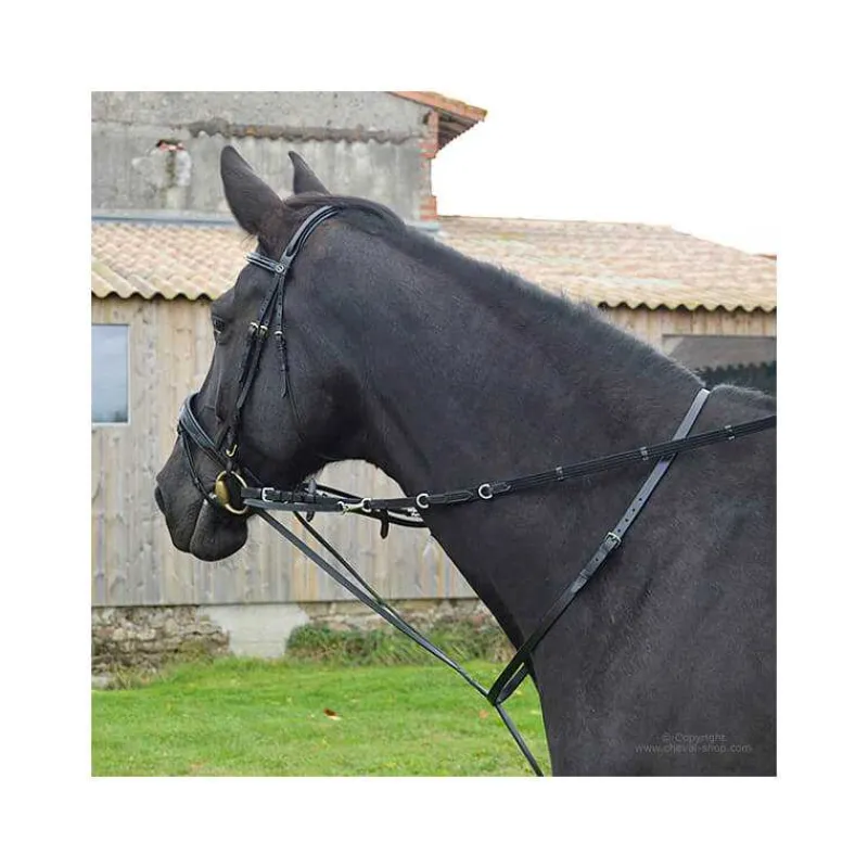 STATIONATA Enrênement Thiedemann> Enrênements Spéciaux|Enrênements Spéciaux